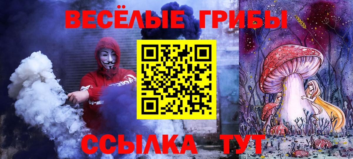 Псилоцибиновые грибы GOLDEN TEACHER  Вход с VPN  Краснознаменск  наркошоп  Псилоцибиновые грибы MAGIC MUSHROOMS 